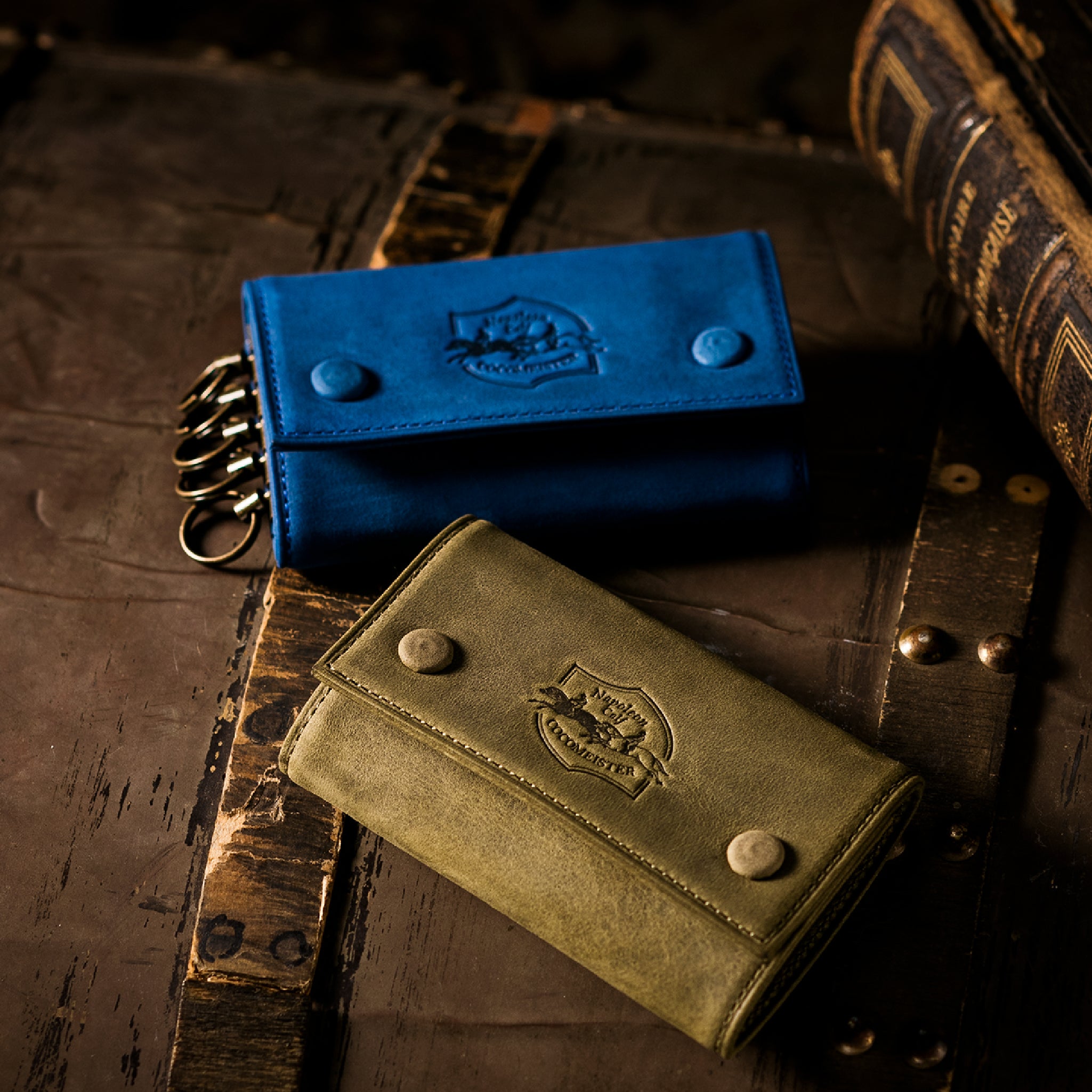 #Color_ワイルドドリーム