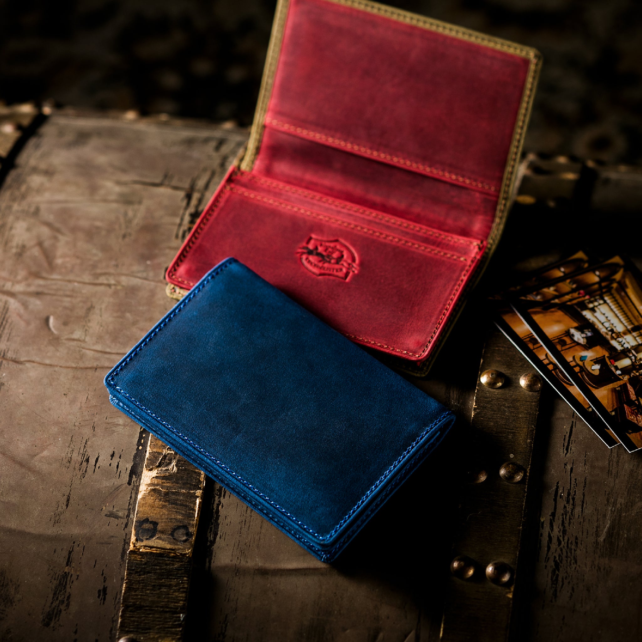 #カラー_ワイルドドリーム