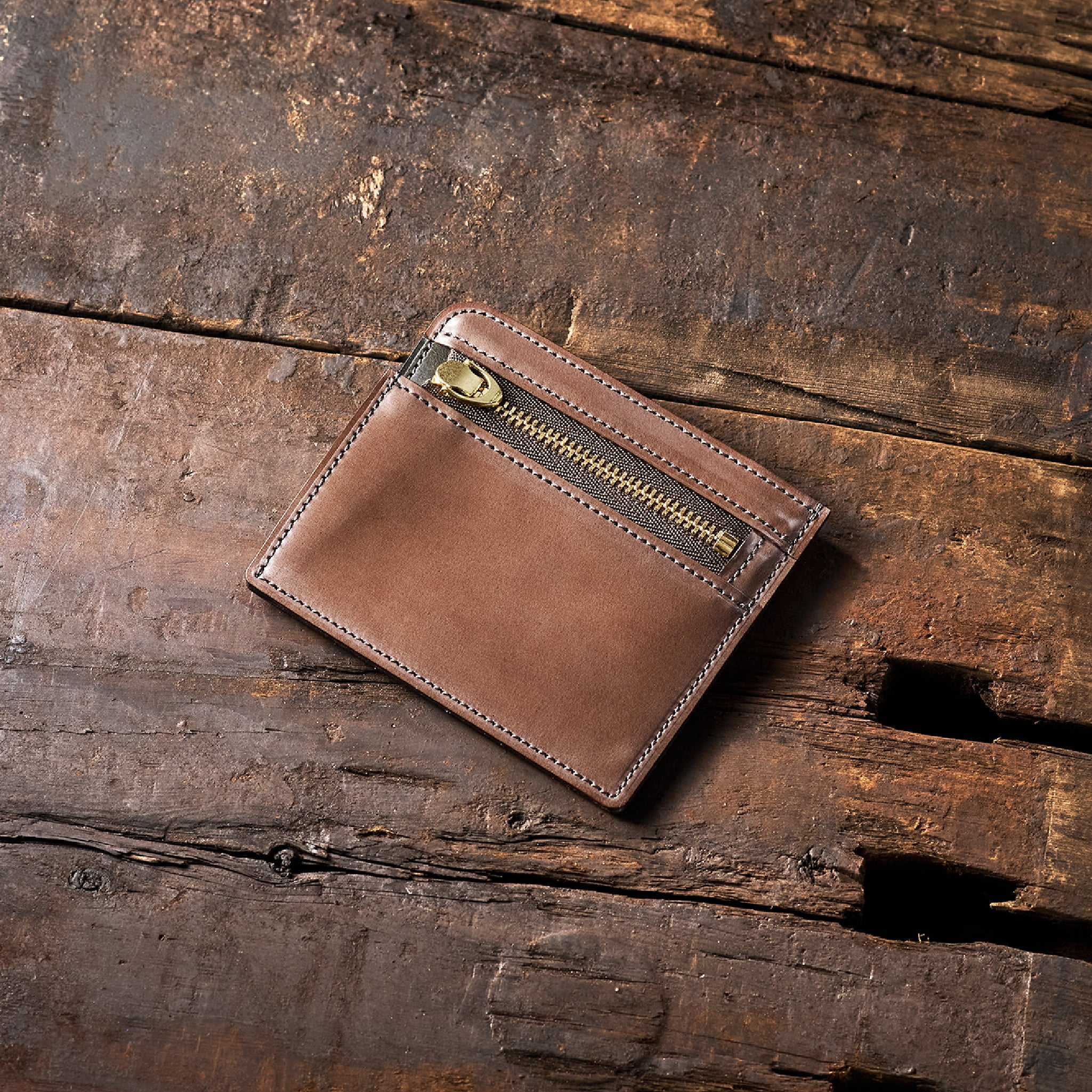 #カラー_ライトガゼル