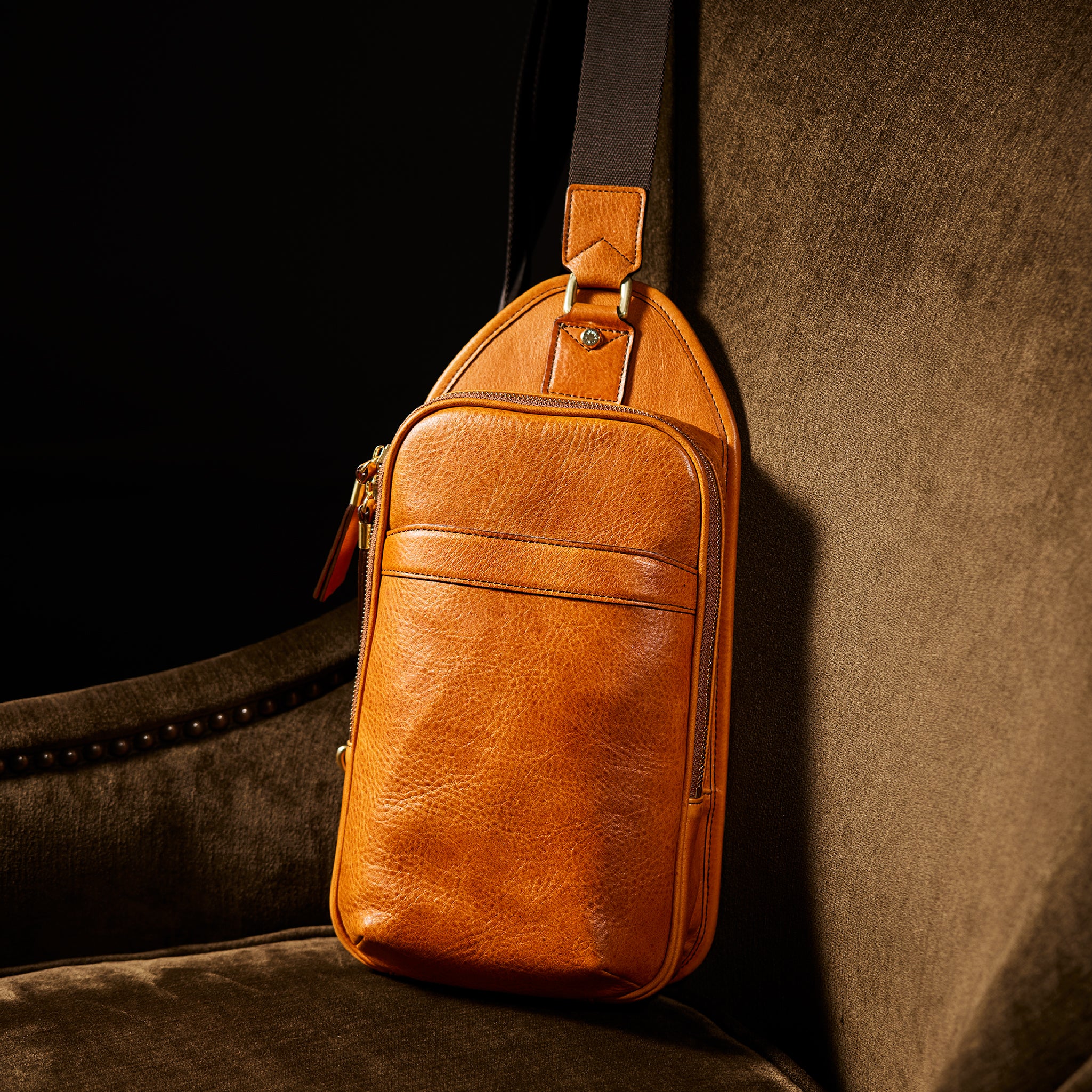 #カラー_シダー