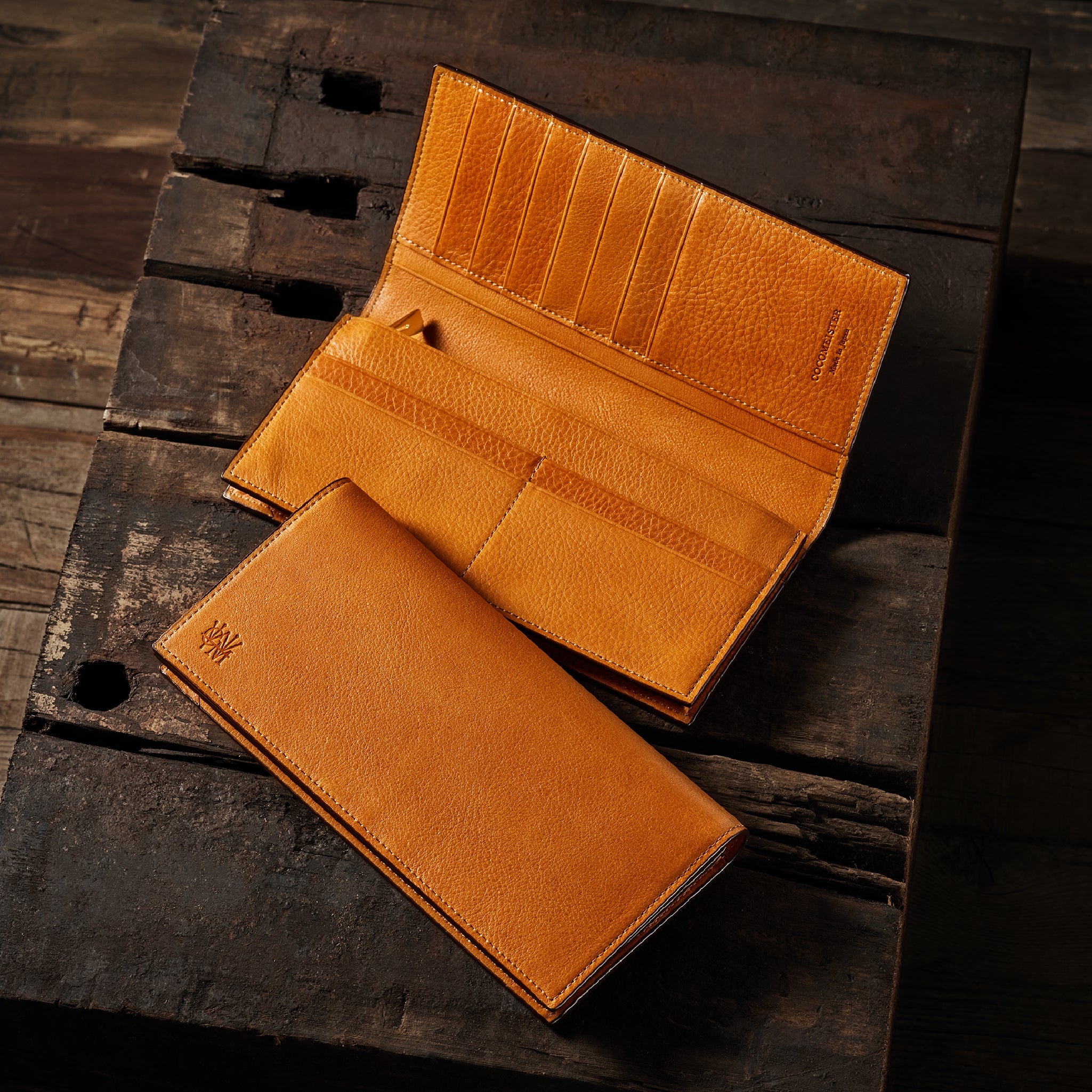 #カラー_シダー