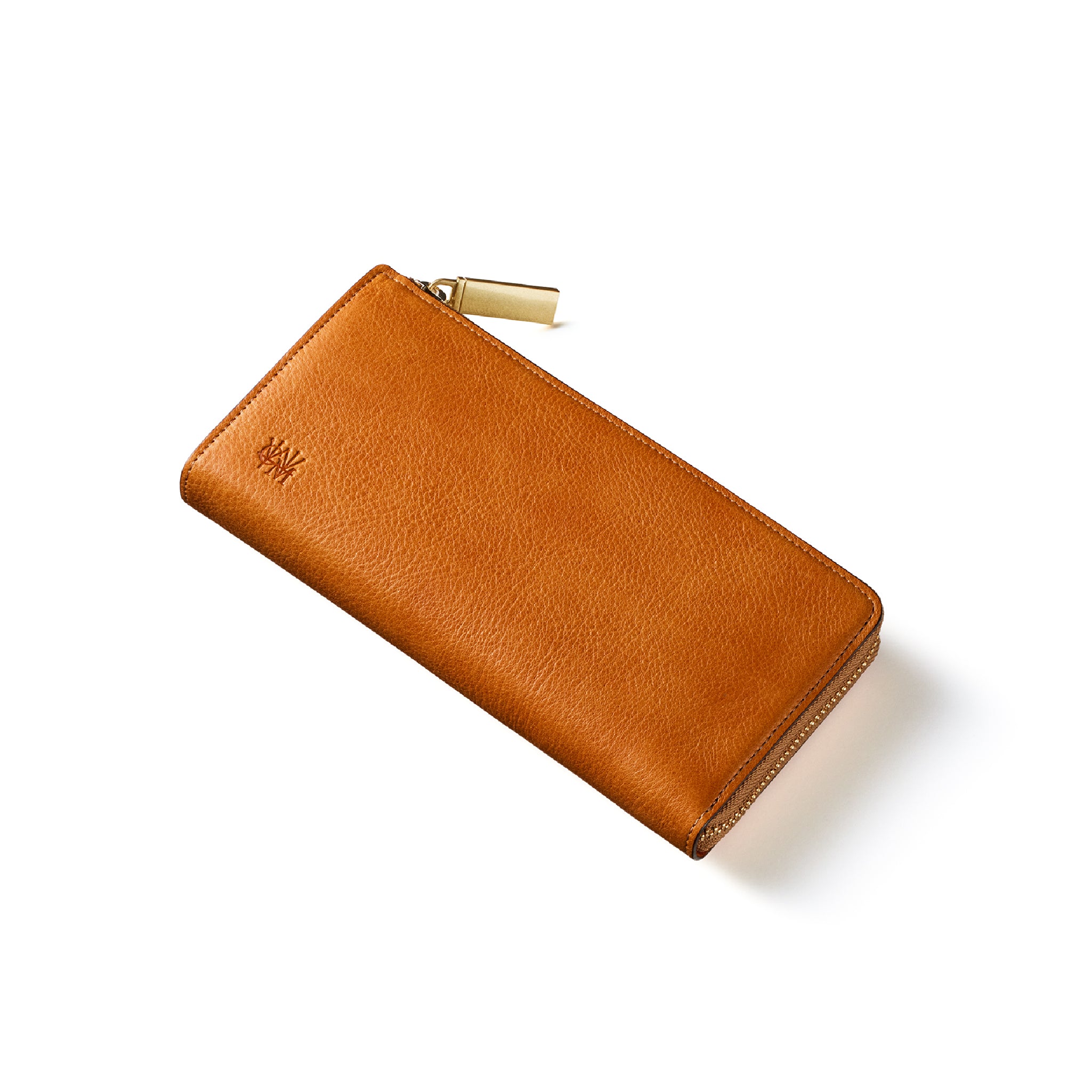 #カラー_シダー