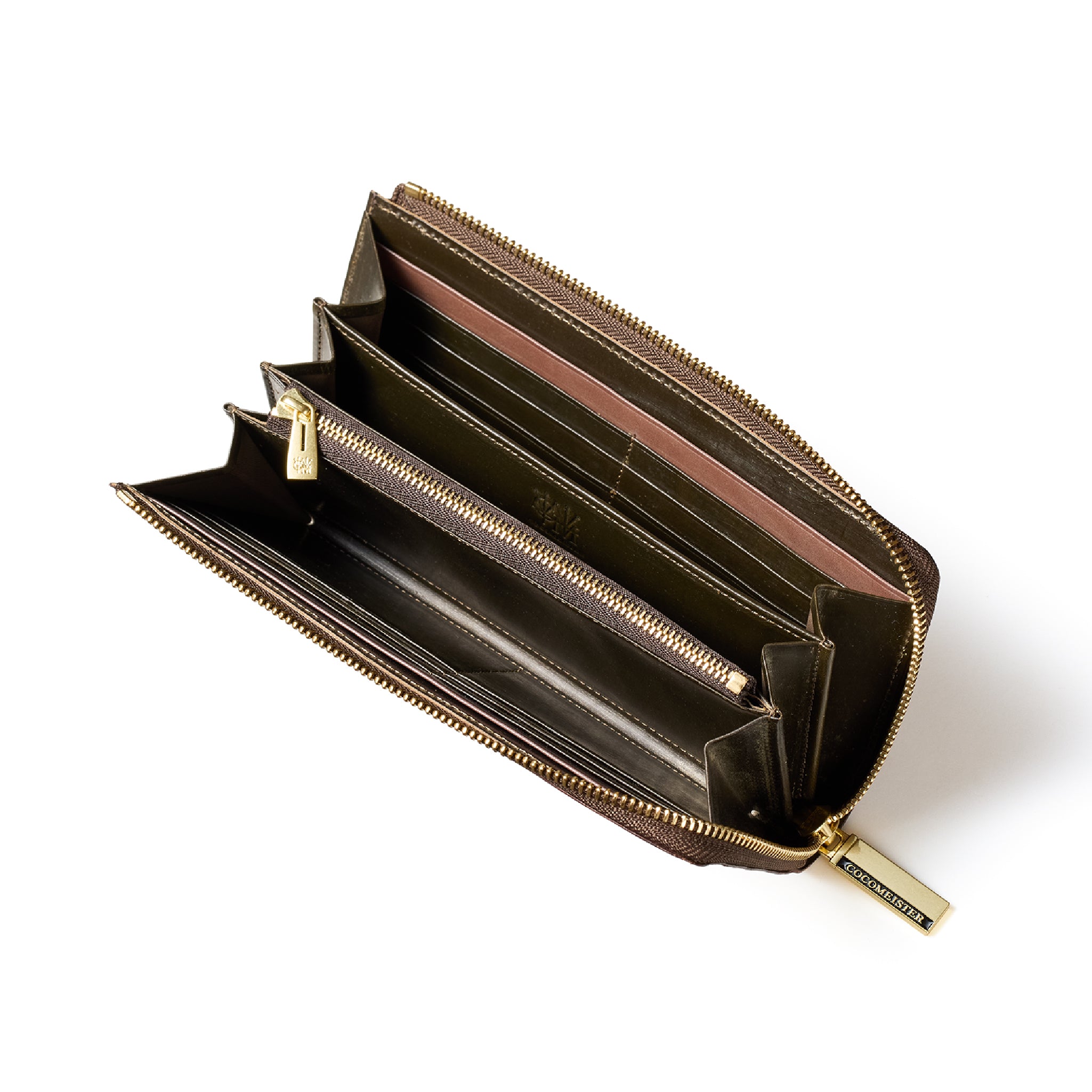 #カラー_ライトガゼル