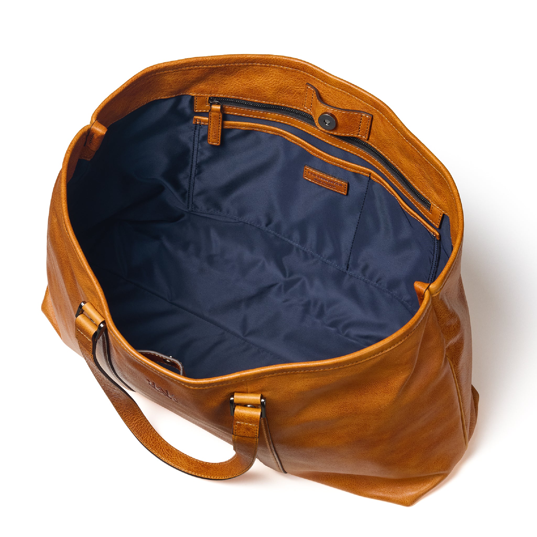 #カラー_シダー