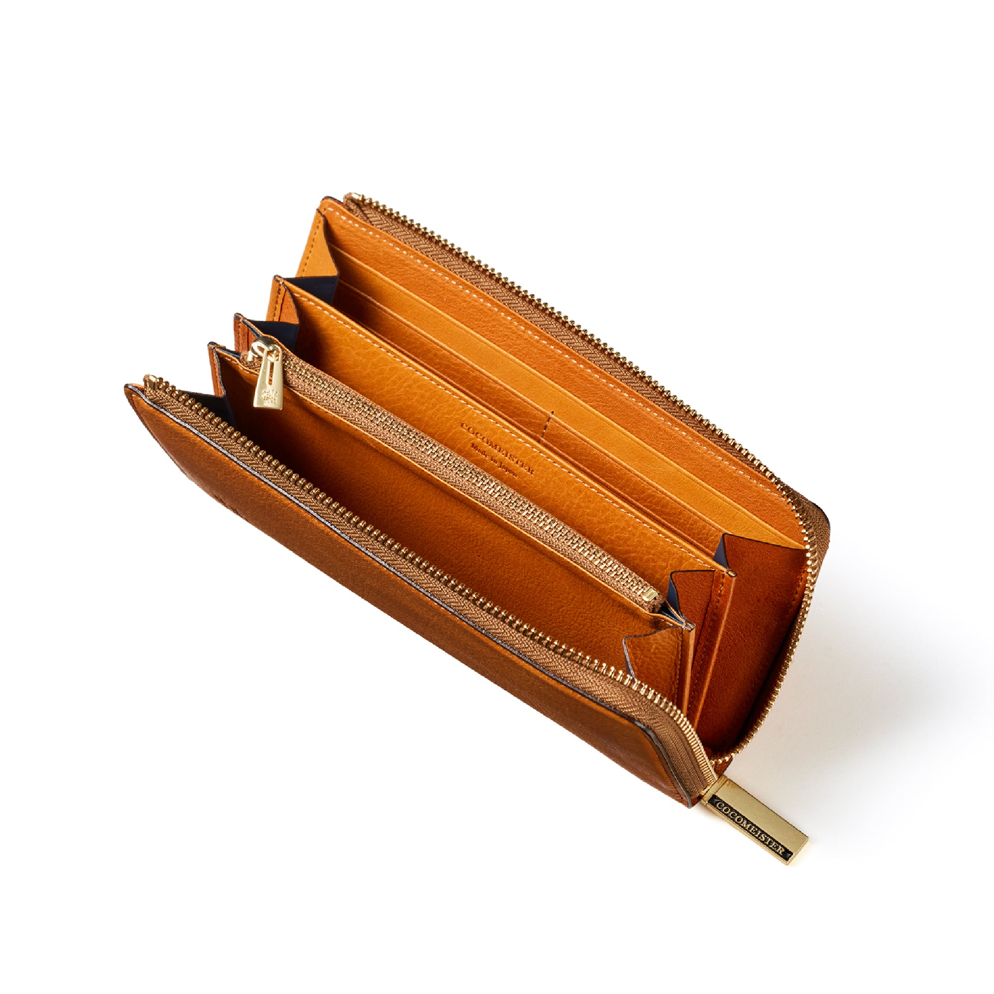 #カラー_シダー