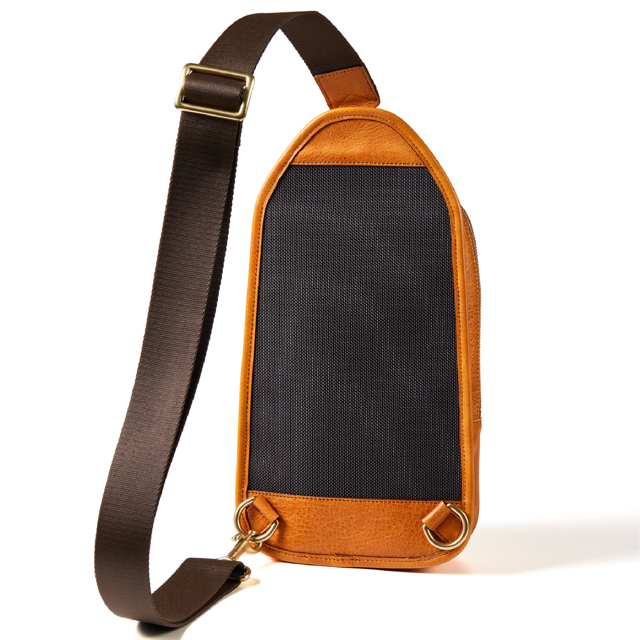 #カラー_シダー