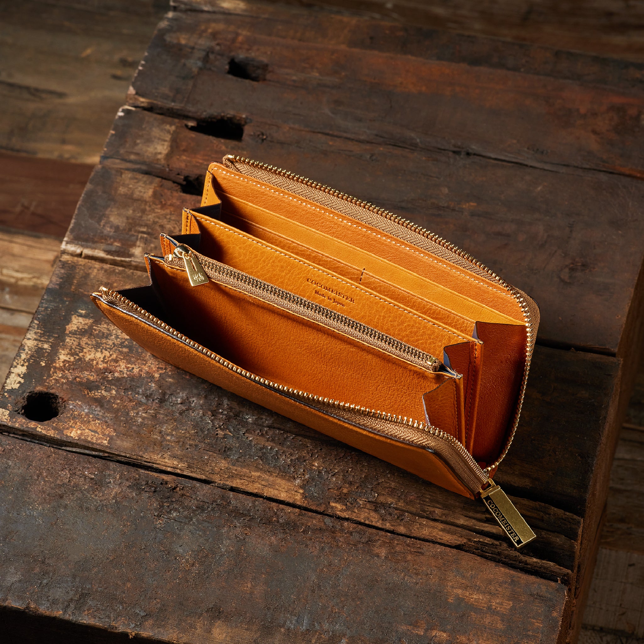 #カラー_シダー