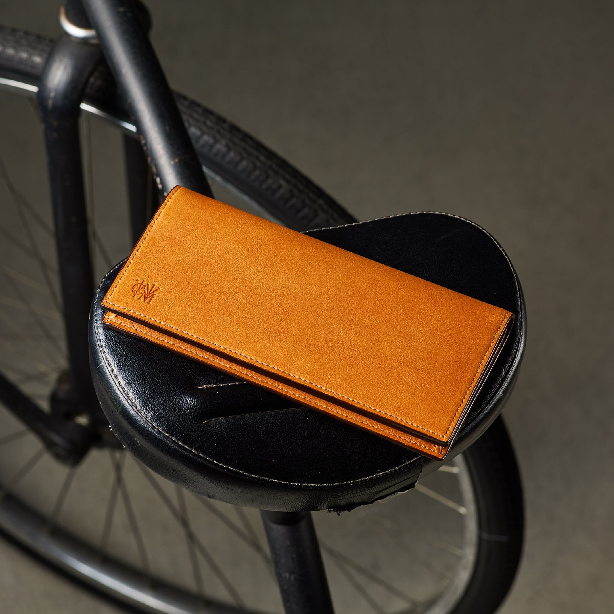 #カラー_シダー