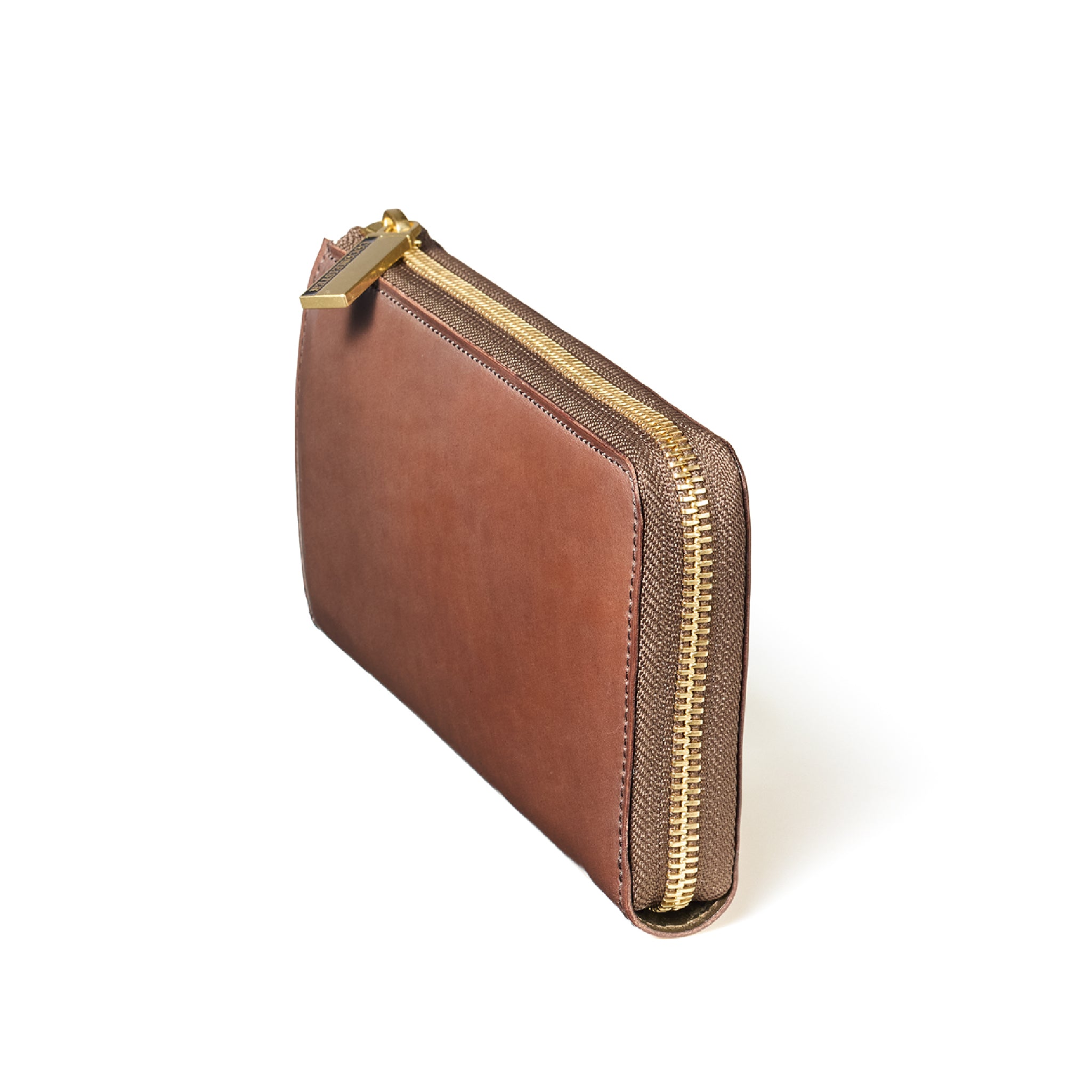 #カラー_ライトガゼル