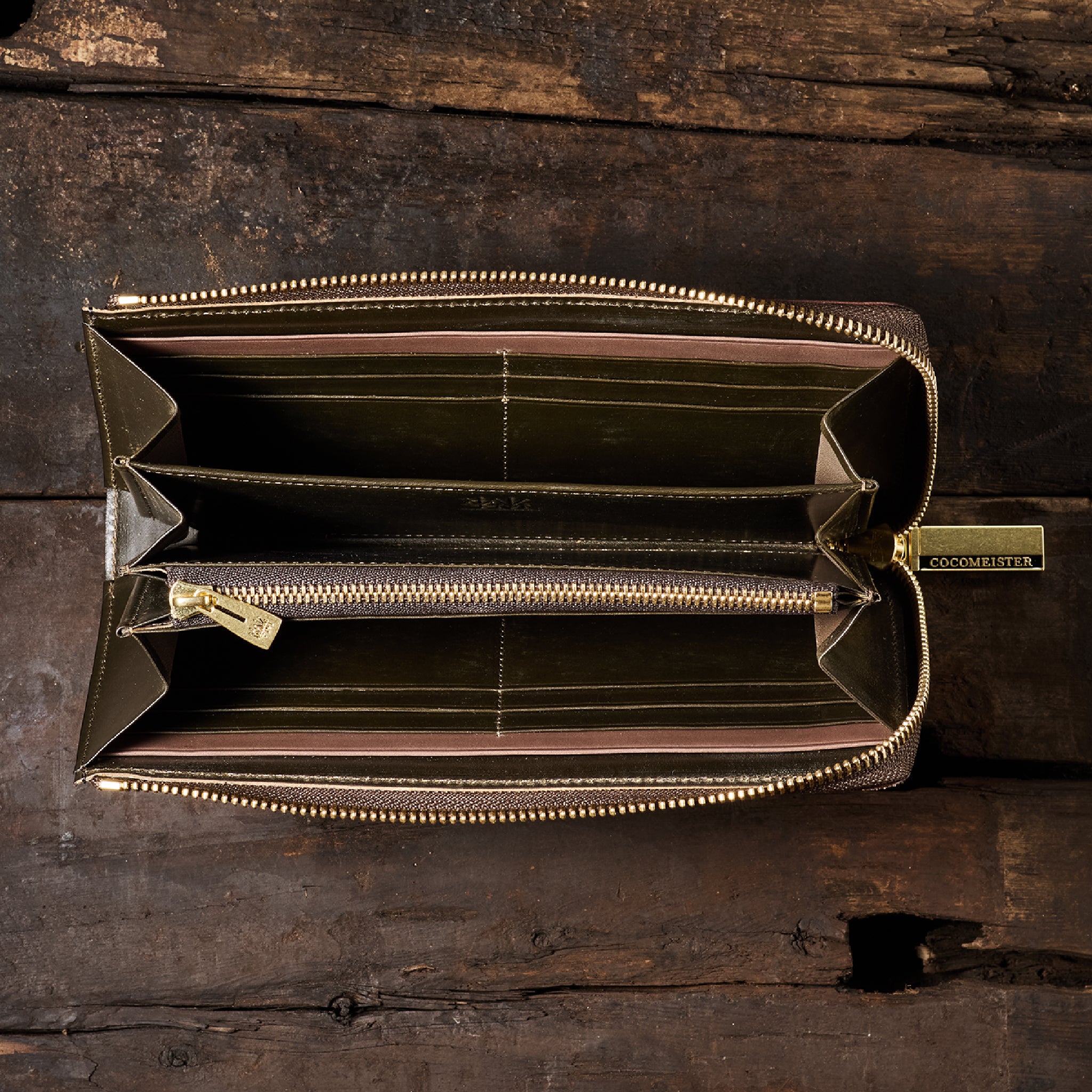 #カラー_ライトガゼル