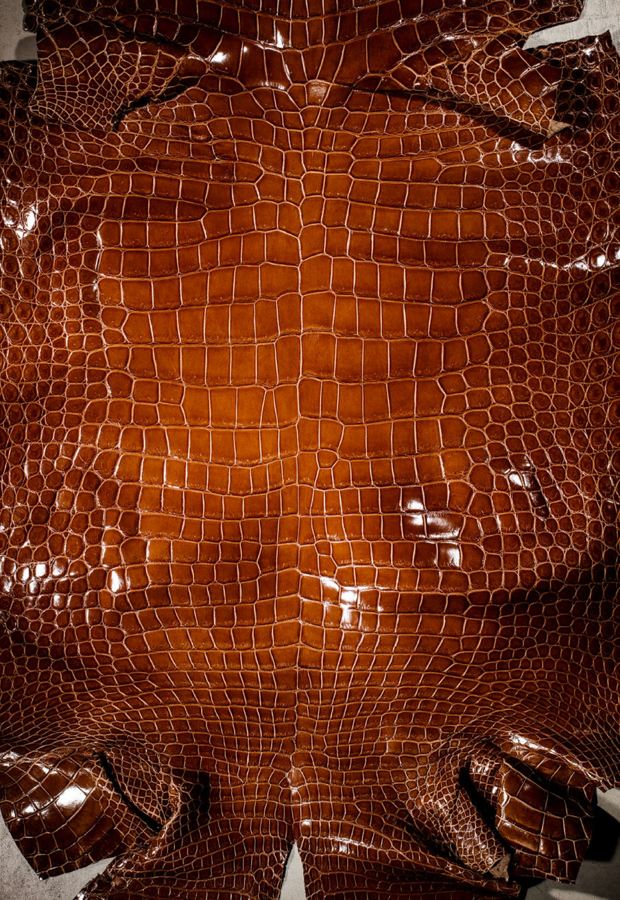 建築美のような存在感 Crocodile Leather