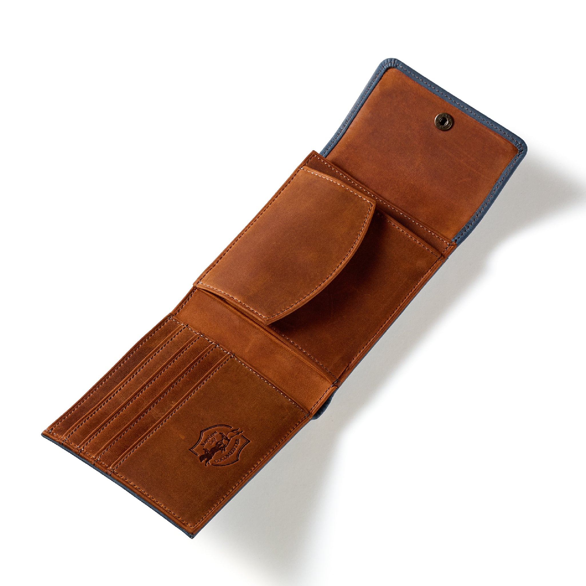 #Color_ドリームフォース