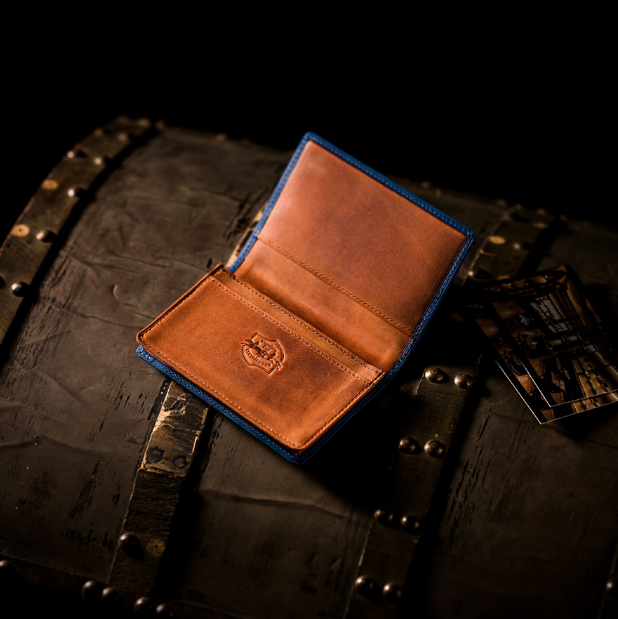 #カラー_ドリームフォース