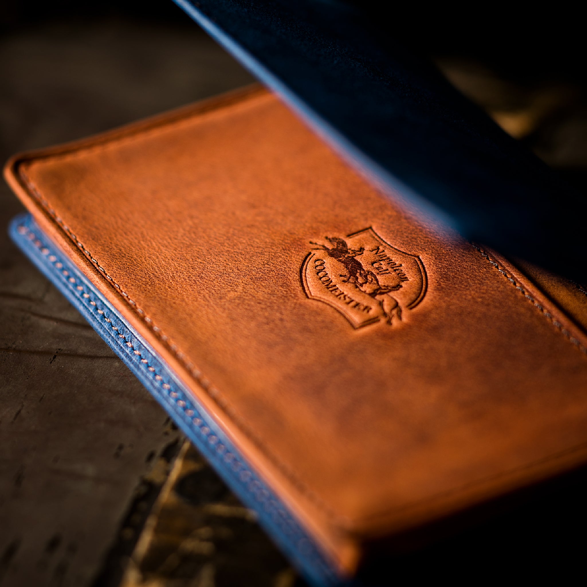 #カラー_ドリームフォース