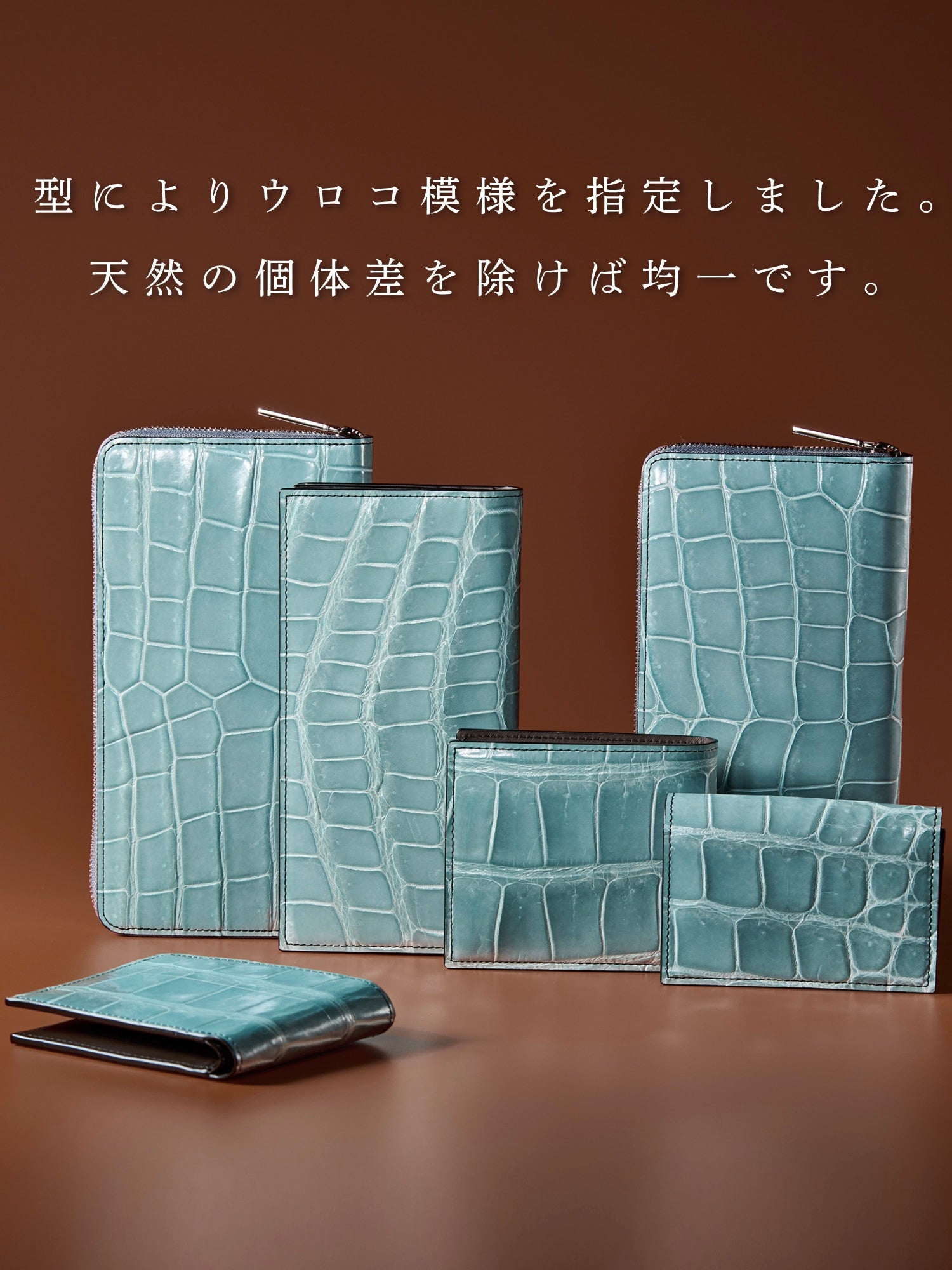 クロコダイル ポリメラス