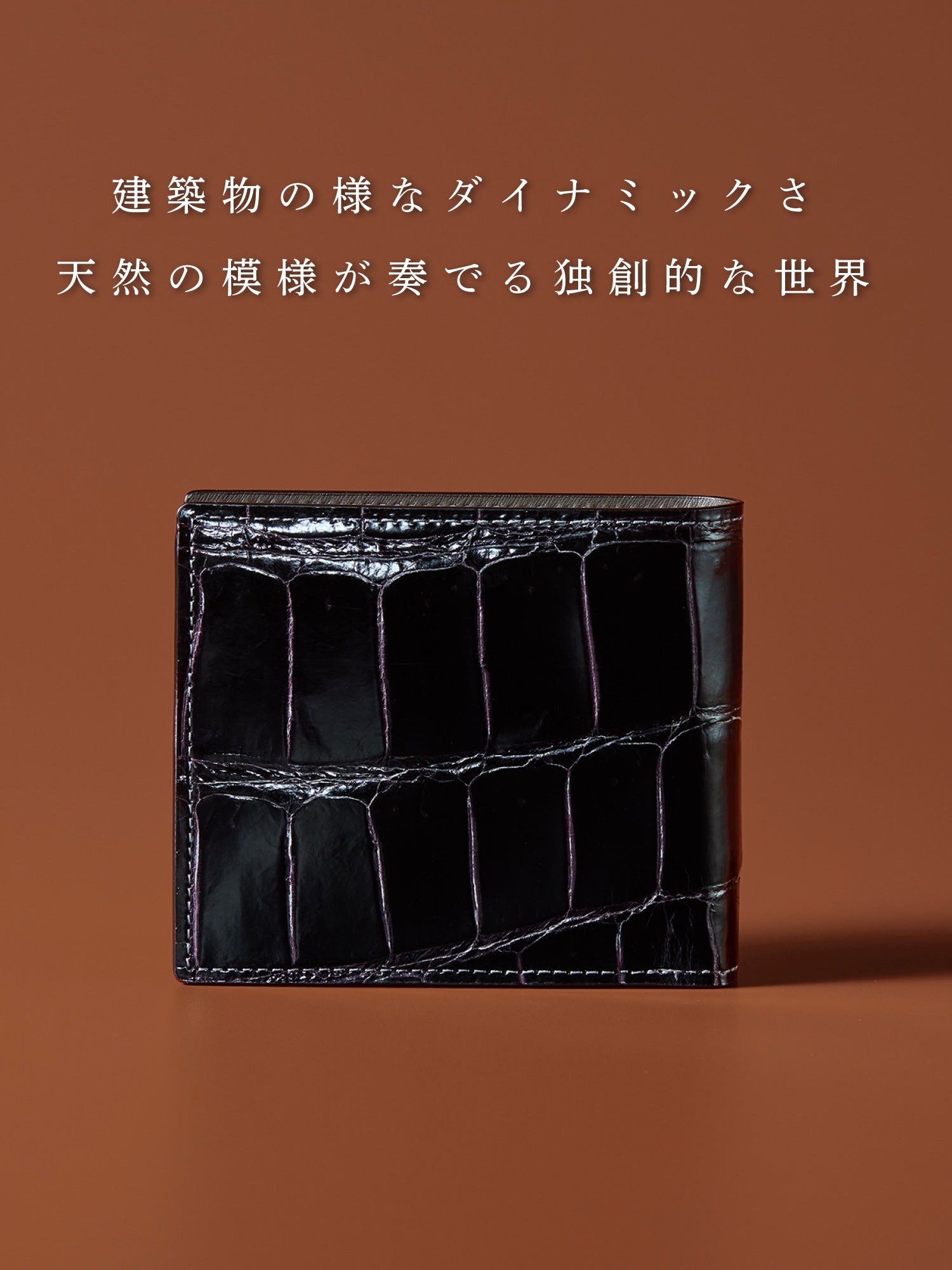 クロコダイル ポリメラス