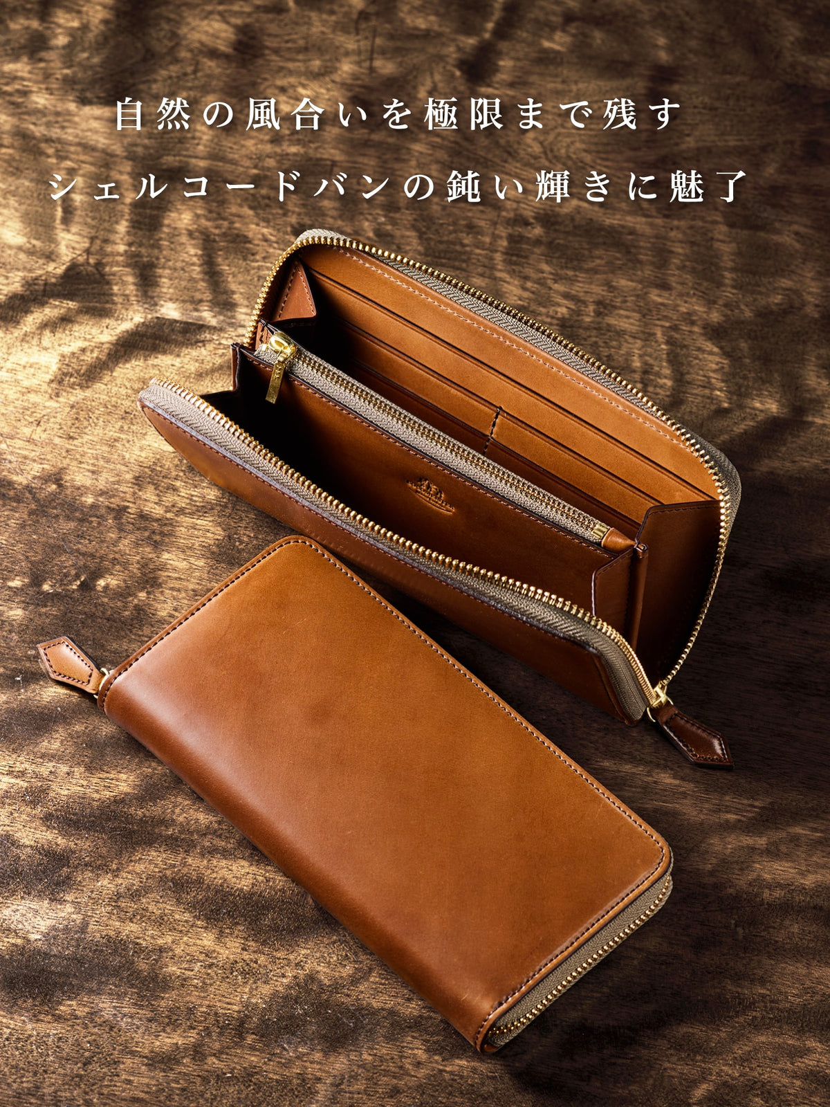 シェルコードバン アーチデューク 01