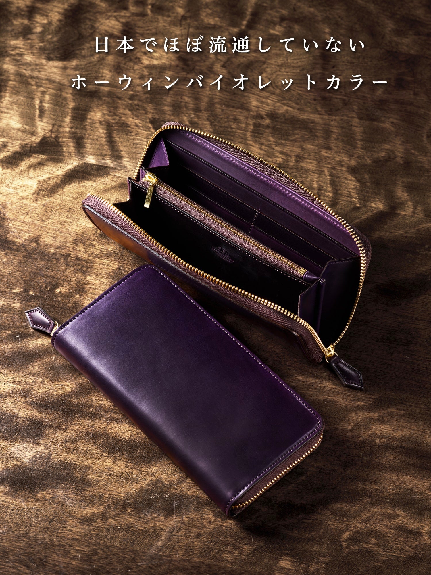 シェルコードバン アーチデューク 05