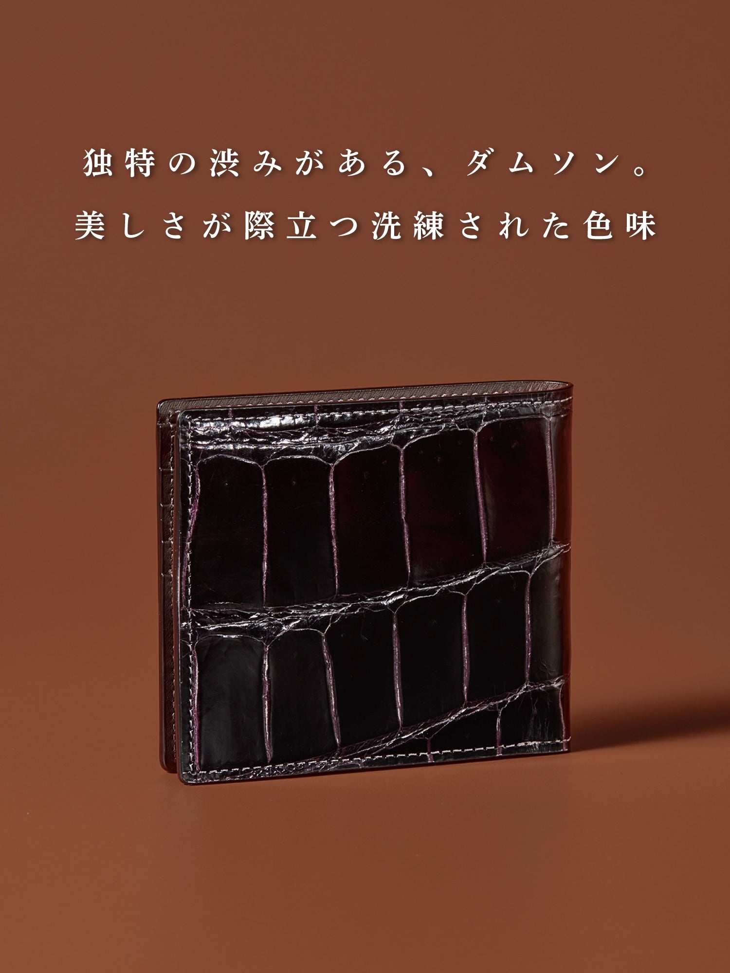 クロコダイル ポリメラス