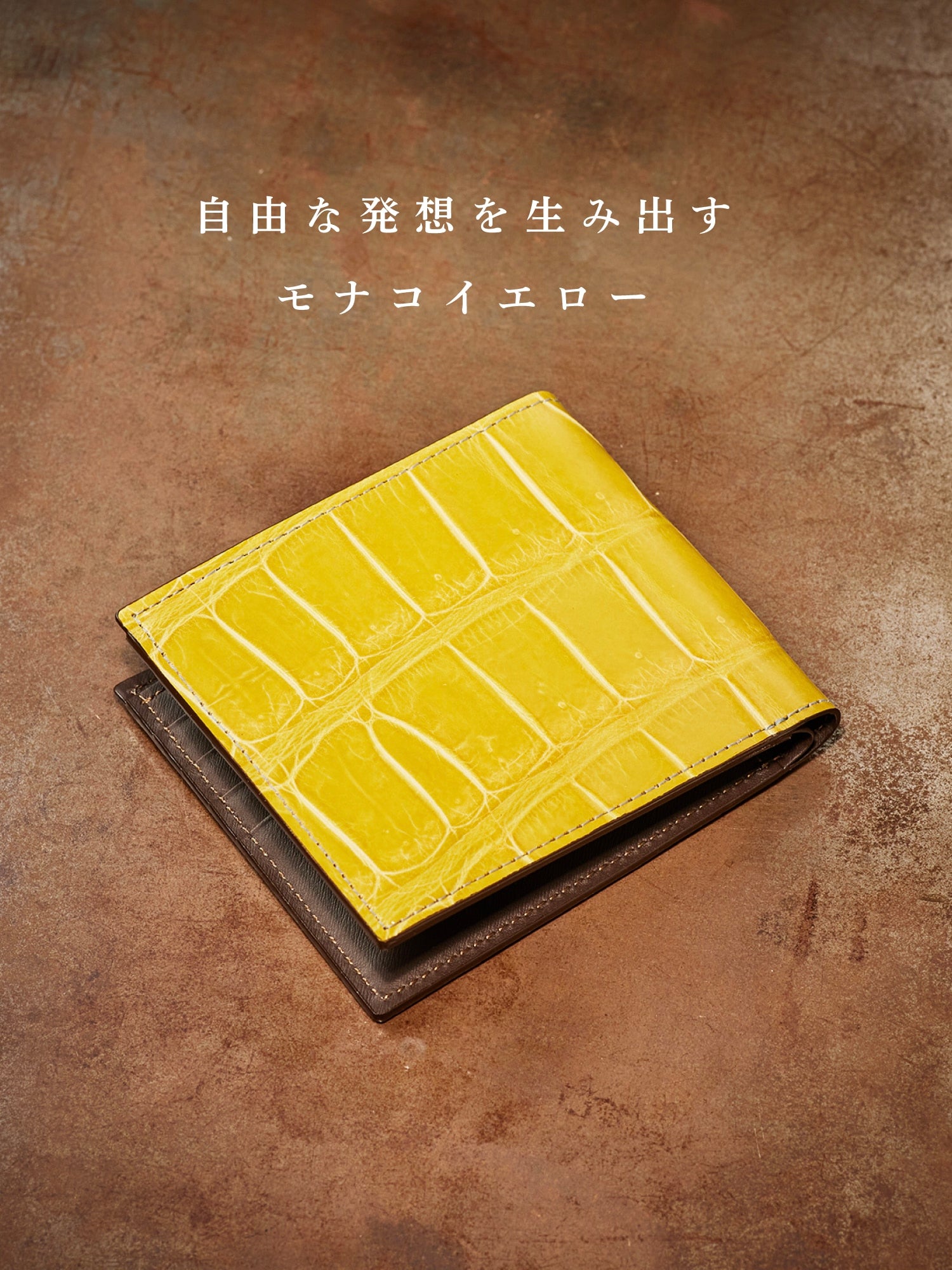 クロコダイル ポリメラス